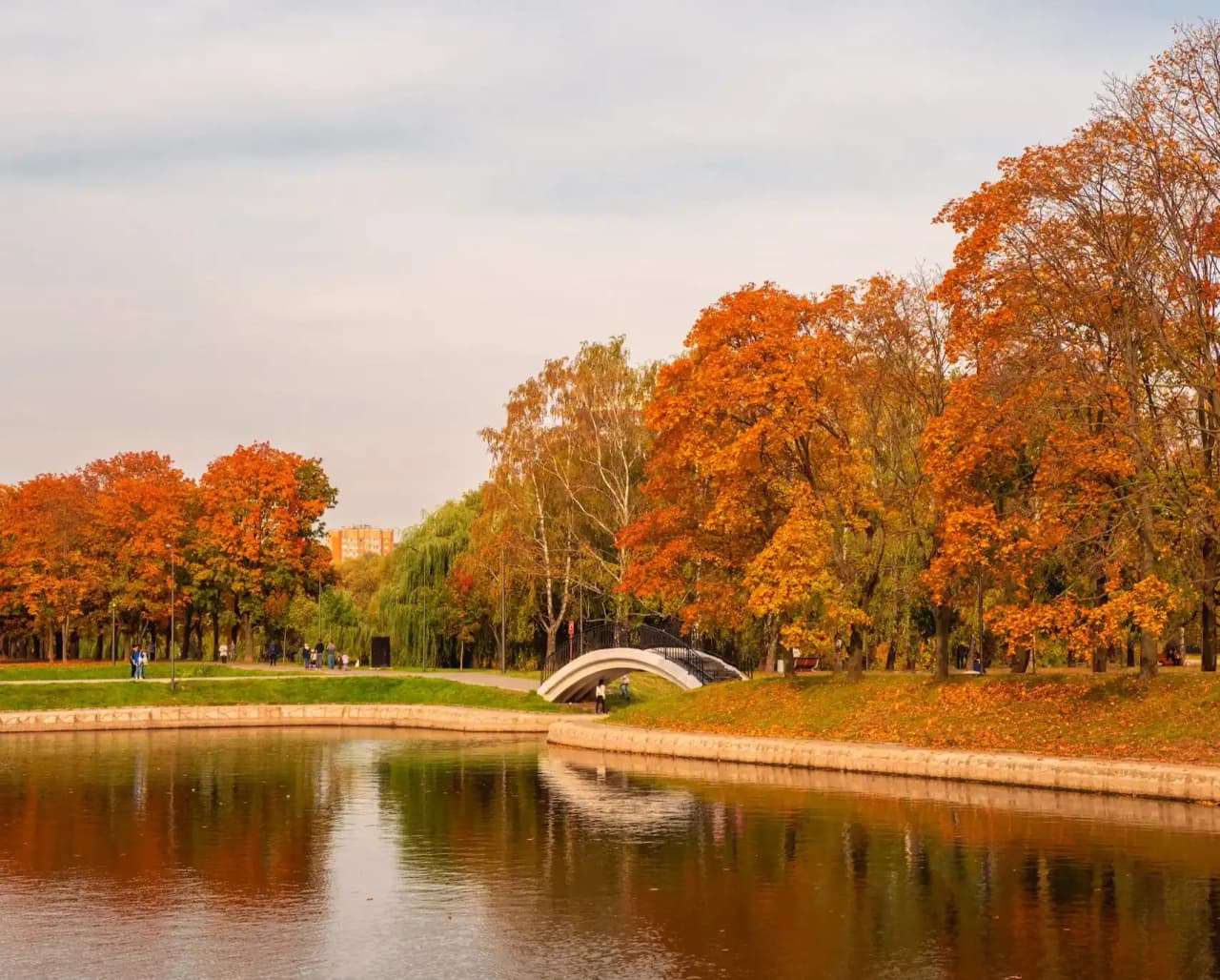 Фото парка Парк 