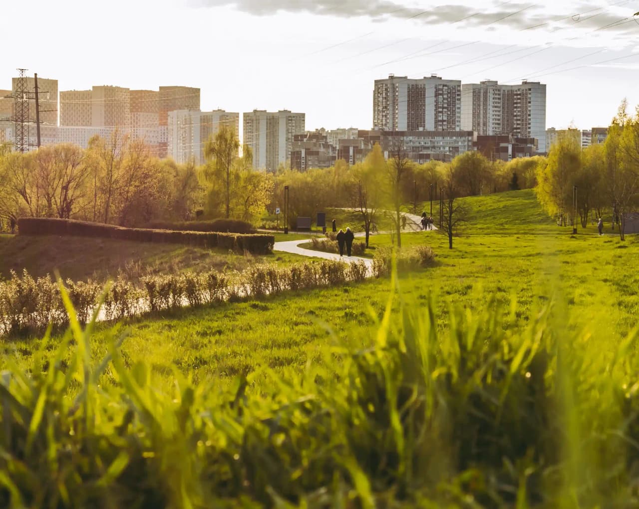 Фото парка Ландшафтный парк 