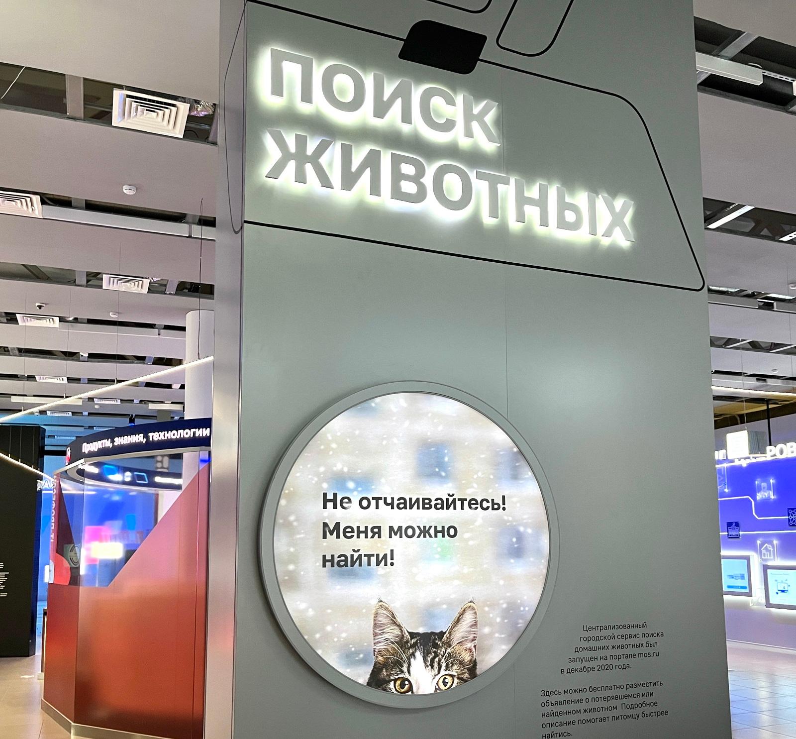 Поиск животных