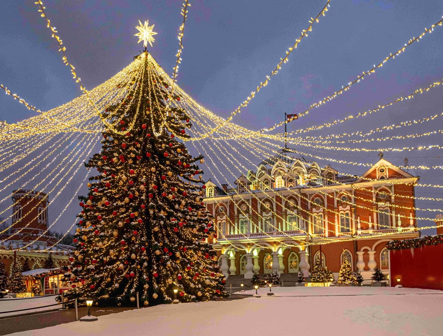 Экскурсия «Семь дорог Петровского парка» 