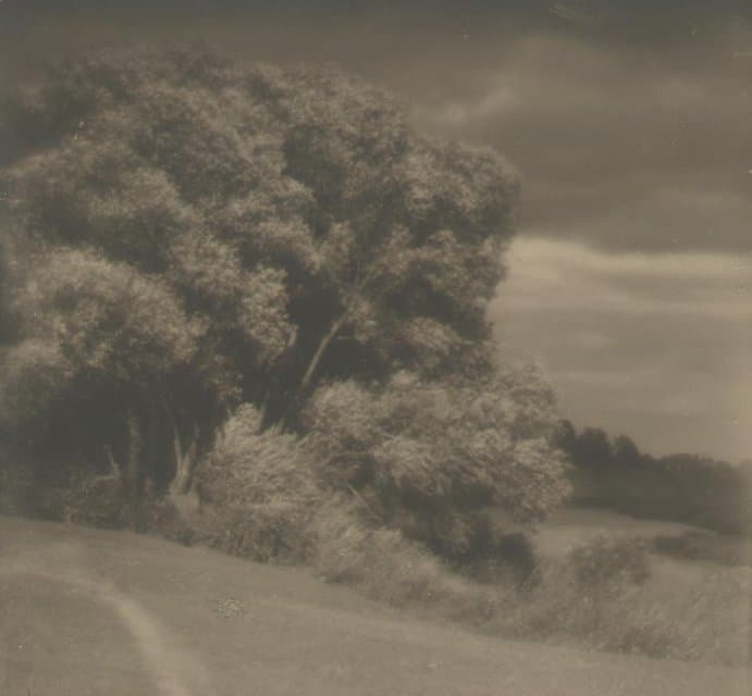 Фотография. Без названия. 1930. Улитин В.И.