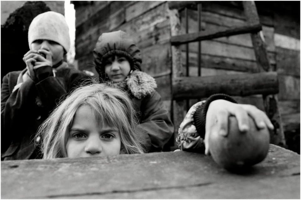 Фотография. Яблоко. 2012. Регистер Б.А.