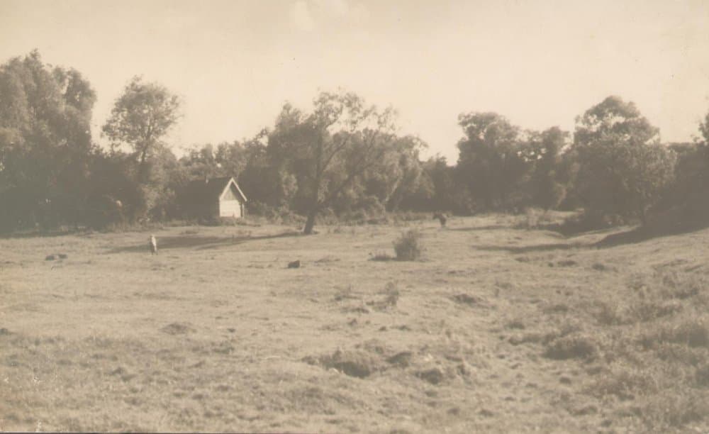 Фотография. Пейзаж. 1930. Улитин В.И.