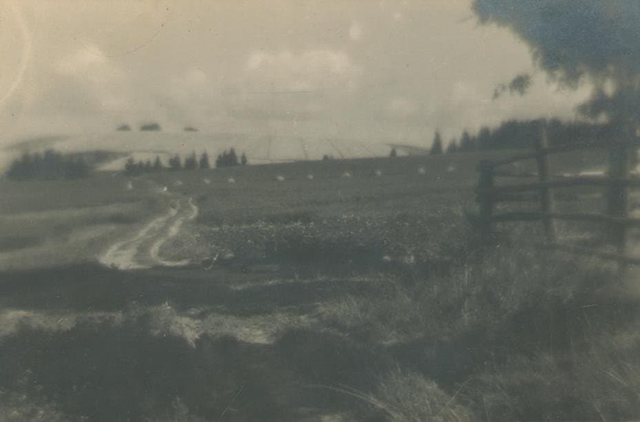 Фотография. Деревня Свистуха. 1924. Улитин В.И.