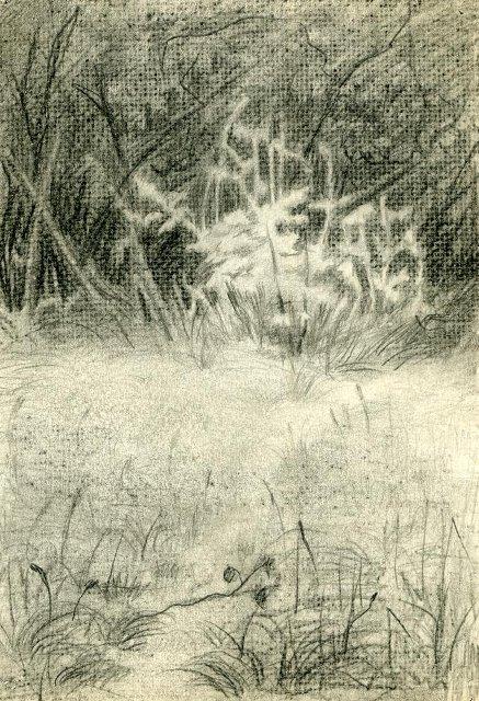 Рисунок. Останкино. 1963 г. Шилов А.М.