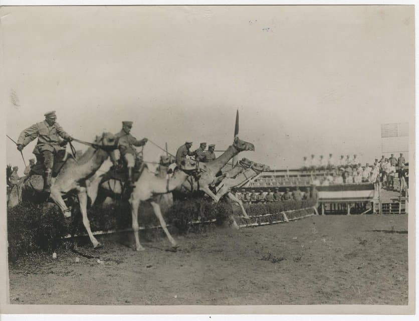 Фотография. Перед приходом британцев. Национальные африканские скачки на верблюдах «Гранд Нэшнл». 1914-1915. Неизвестный автор