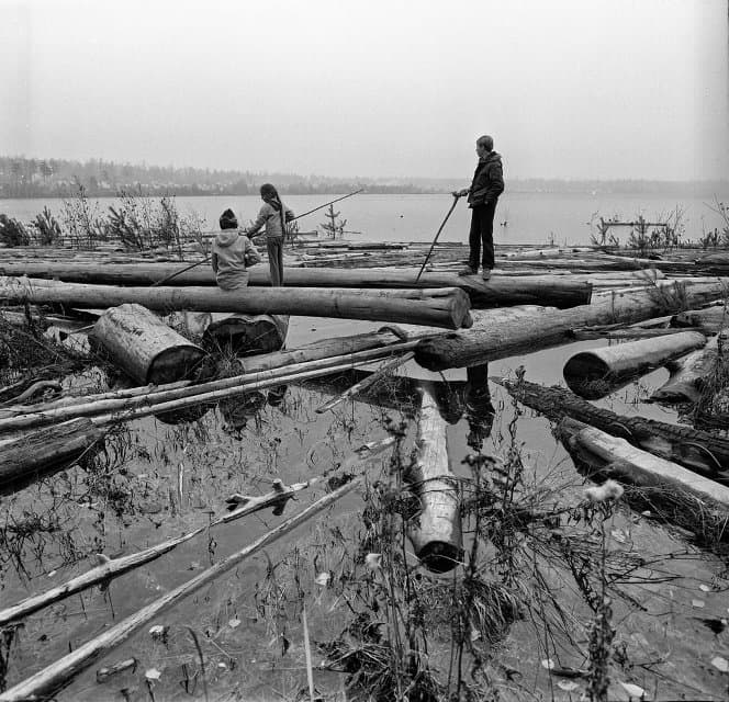 Фотография. Берега. Братское море. 1982. Верещагин И.Е.