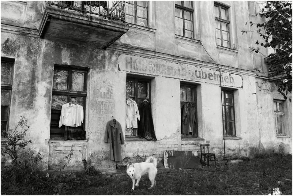 Фотография. Ясное. 2012. Регистер Б.А.