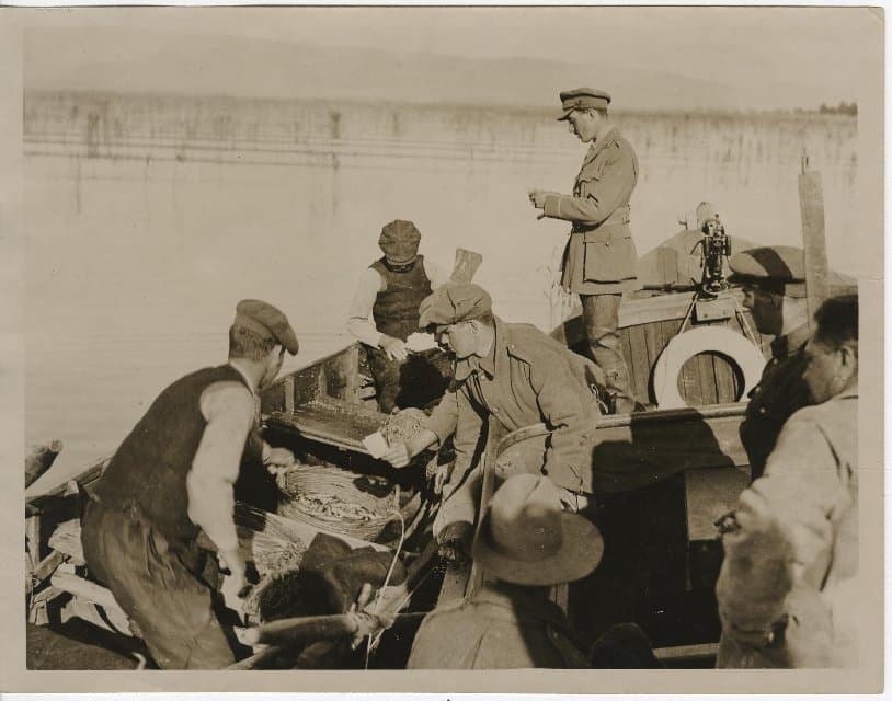 Фотография. Проверка разрешений на лов рыбы. 1914-1918. Неизвестный автор