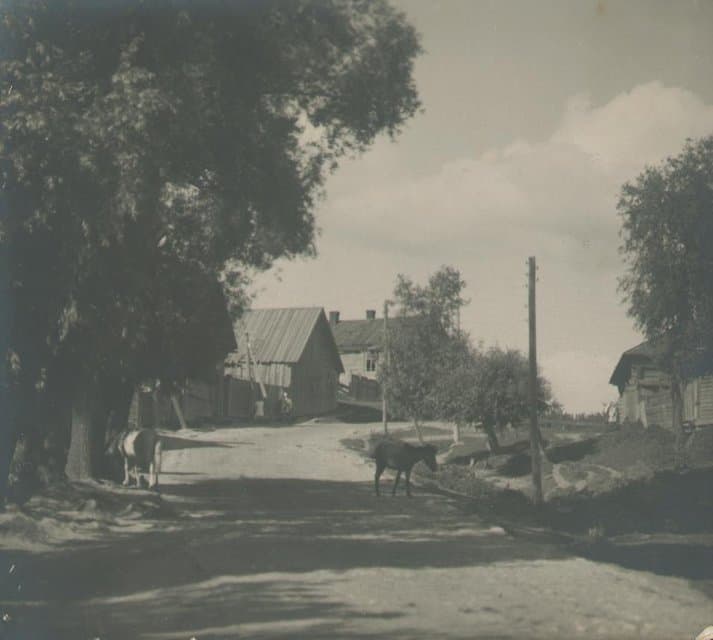 Фотография. Без названия. 1930. Улитин В.И.