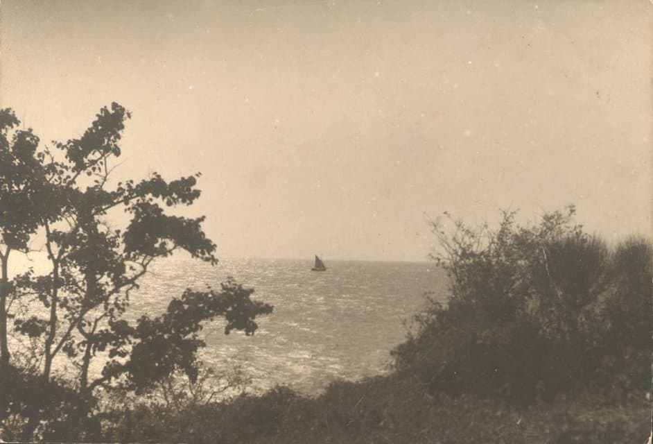 Фотография. Этюд. Крым. 1924. Улитин В.И.