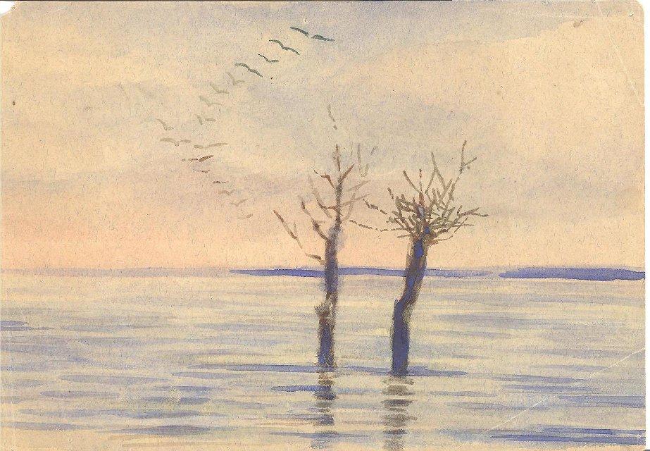 Акварель. Два дерева в половодье. 1866-1900 гг. Эфрон (ур. Дурново) Е.П.