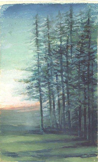 Акварель. Ели на опушке. 1860-1880-е гг. Эфрон (ур. Дурново) Е.П.