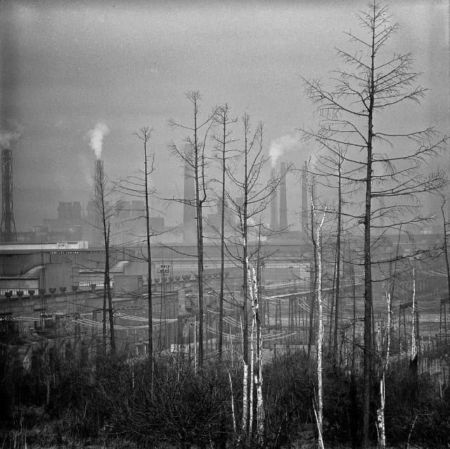 Фотография. Обычный день. БРАЗ (Братский алюминиевый завод). 1981. Верещагин И.Е.