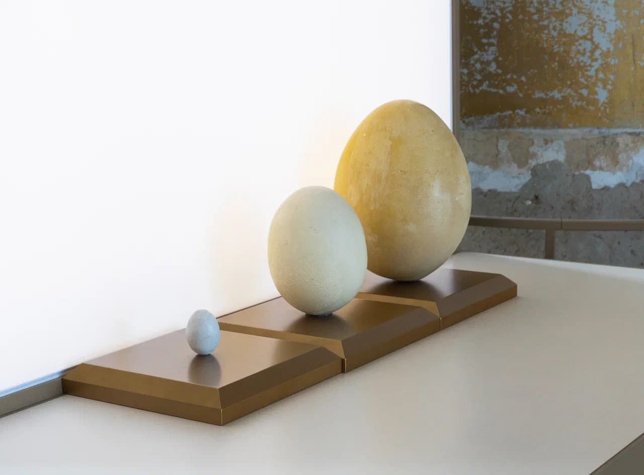 Первый признак живого — «Вне клетки жизни нет!»