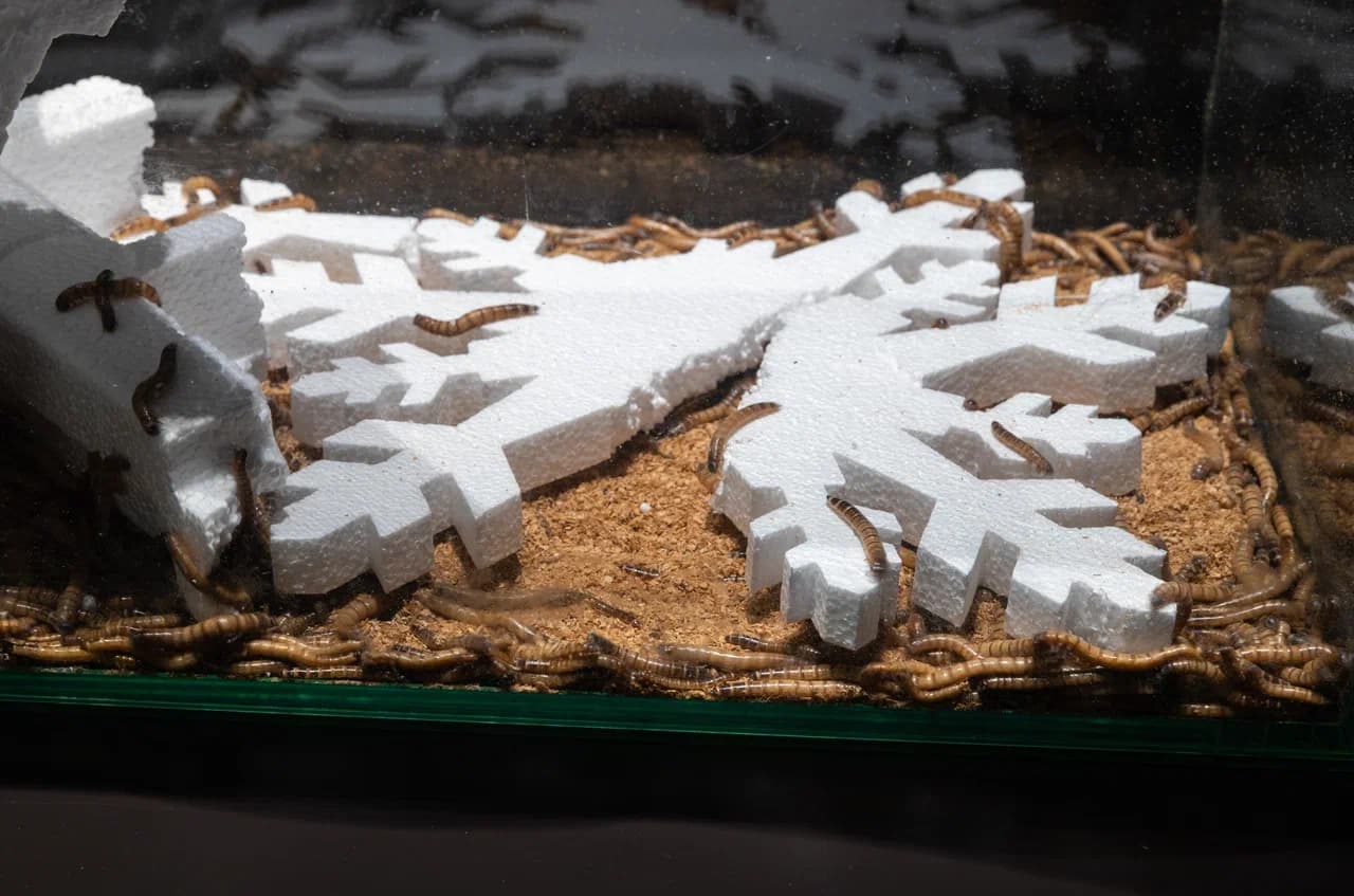 Второй признак живого — «Живой организм — открытая система»