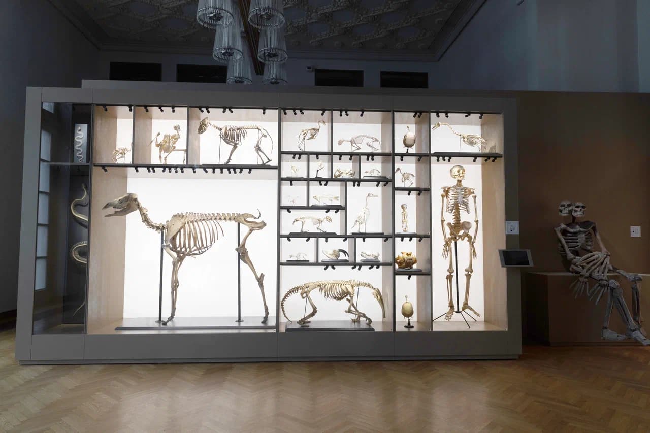 Четвёртый признак — «Движение — жизнь»