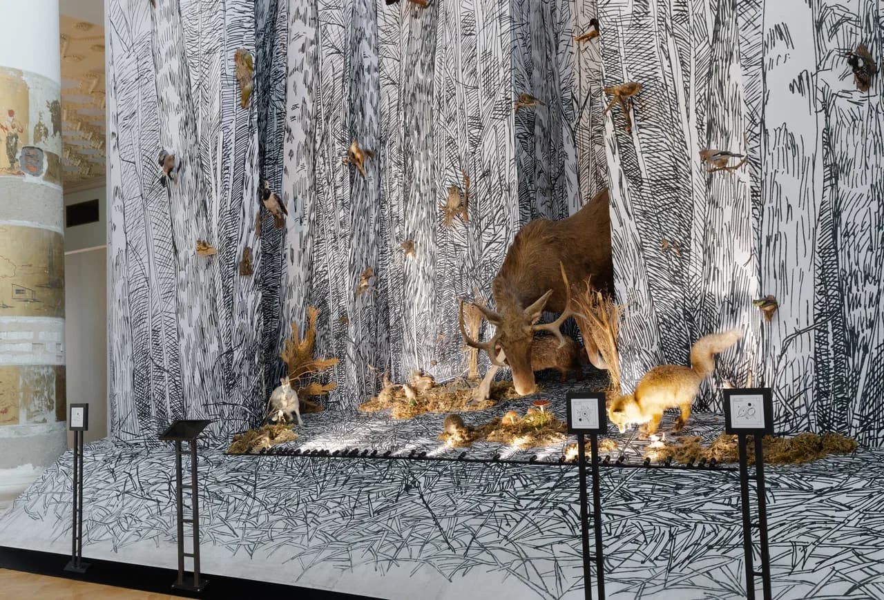 Пятый, шестой, седьмой: «Многообразие»,
«Дискретность и целостность», «Ритмичность»