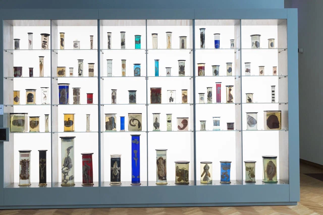 Девятый признак – «Обмен веществ»