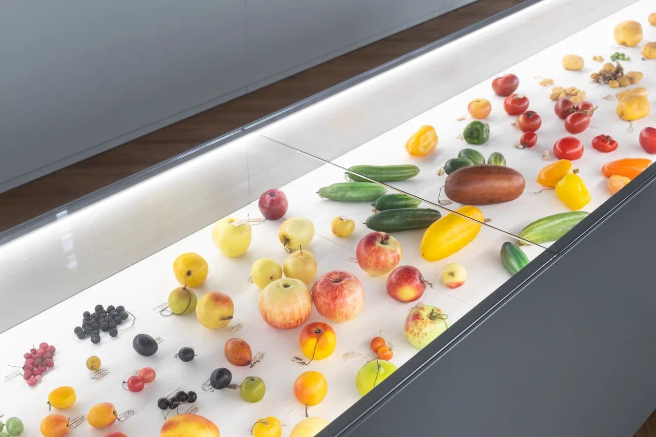 «Признак десятый – Наследственность и изменчивость». Продолжение