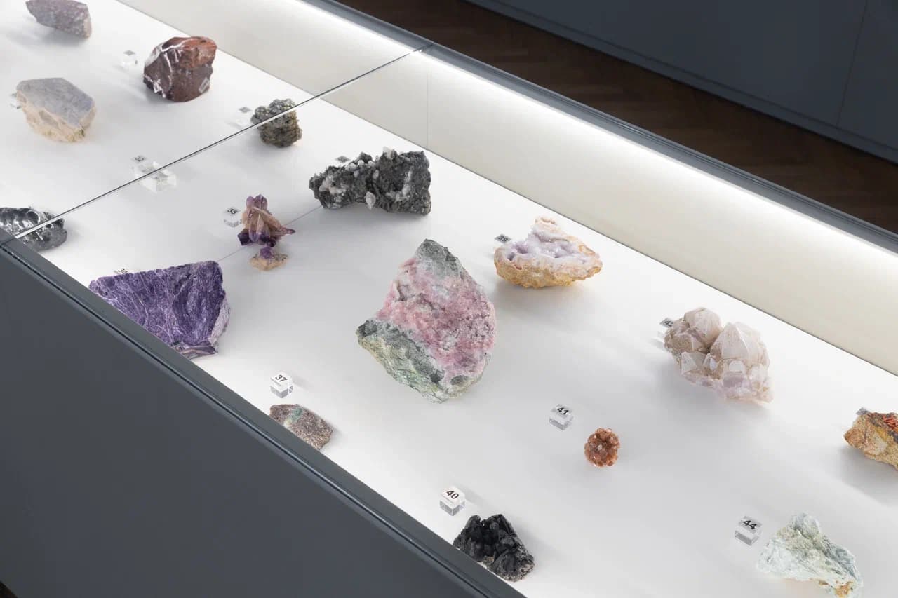 Признак одиннадцатый – «Химия жизни»