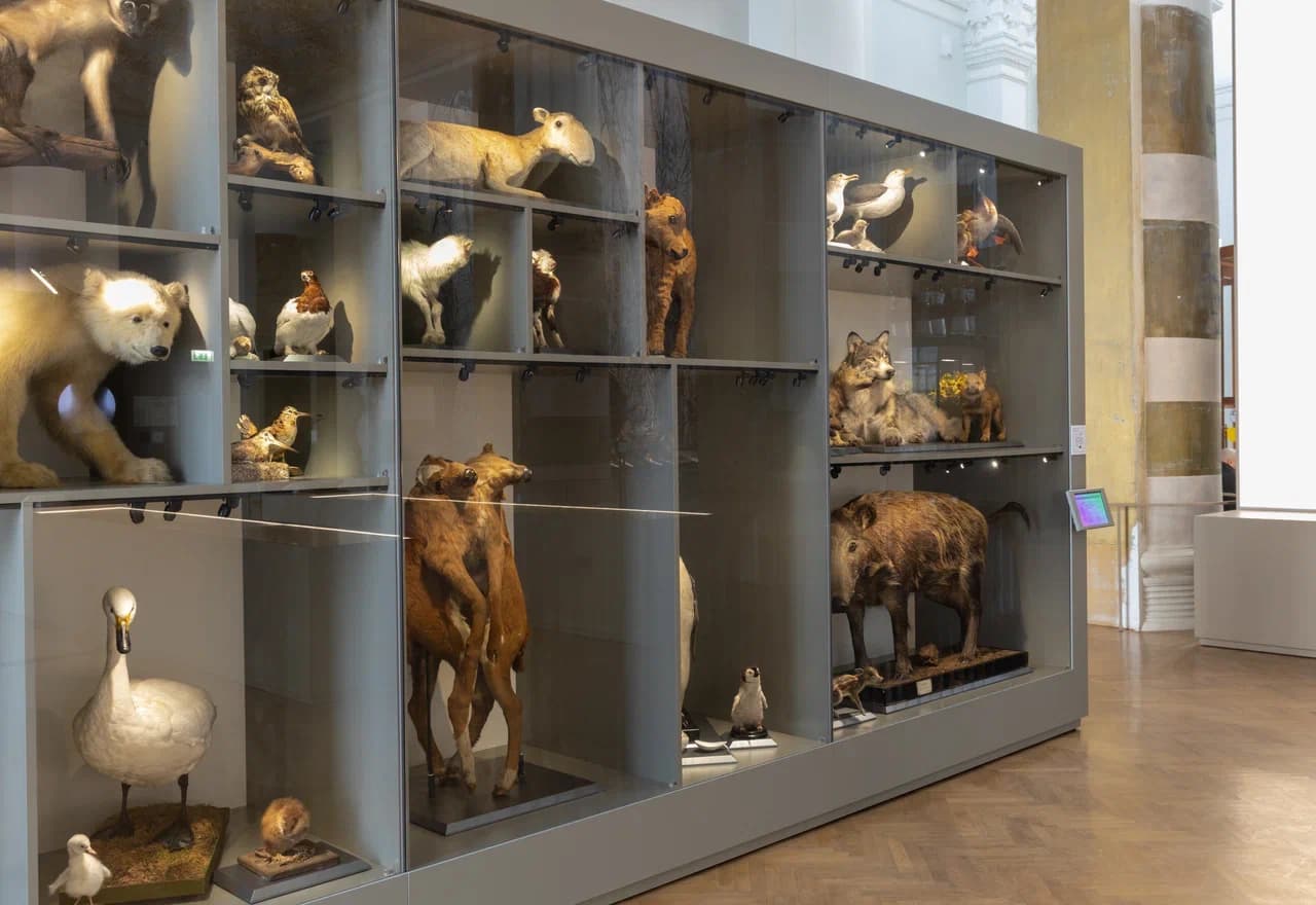 Признак двенадцатый – «Рост и развитие»