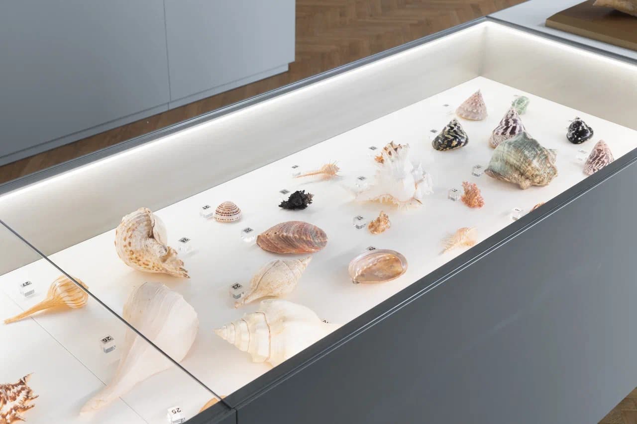 Признак десятый – «Наследственность и изменчивость»