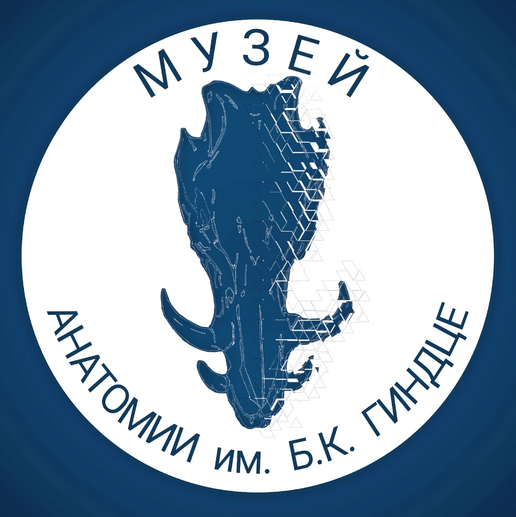Музей анатомии им. Б.К. Гиндце