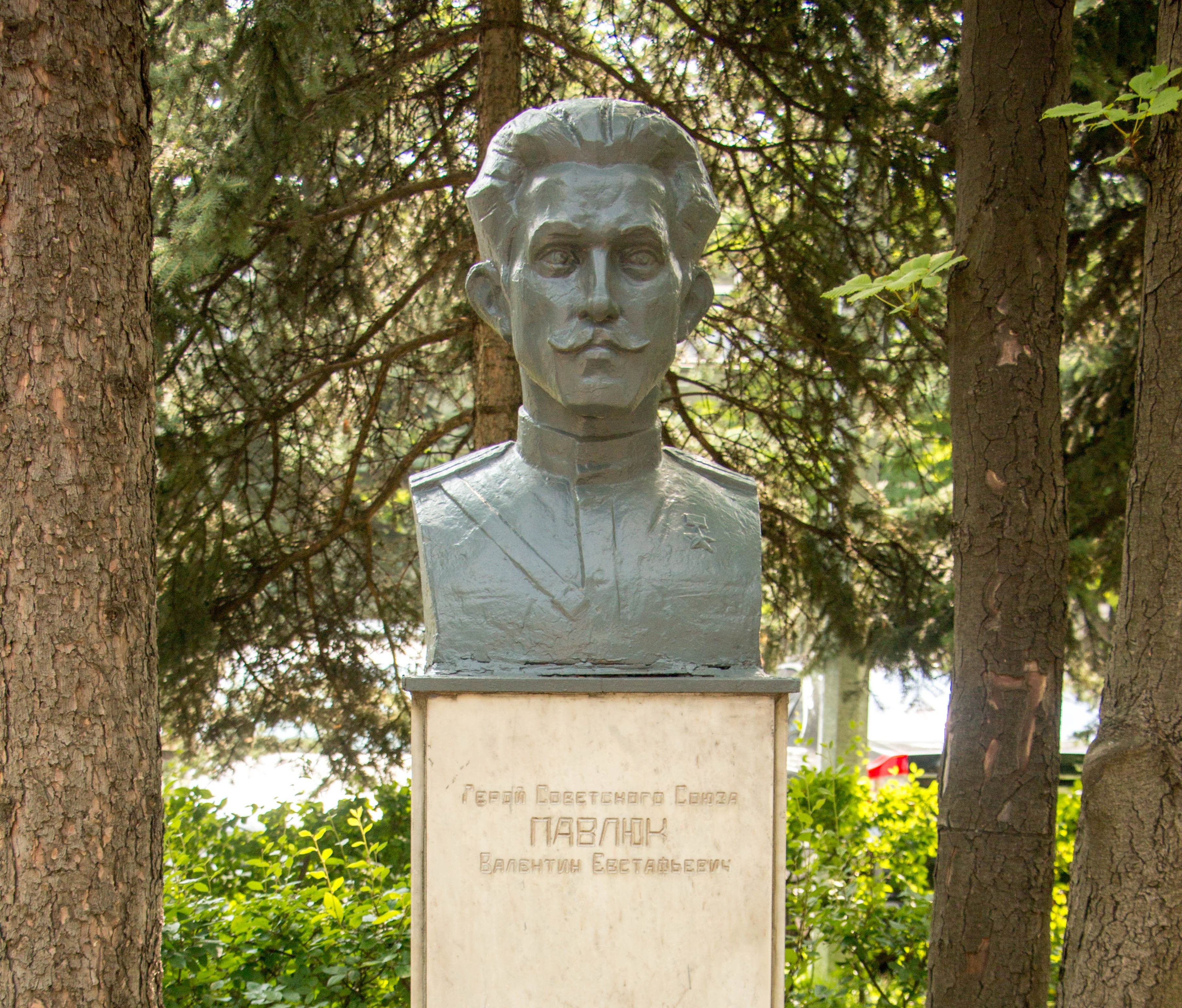 Павлюк В. Е.